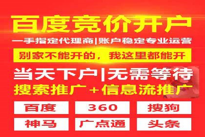 电商SEM推广案例解析